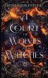 A Court of Wolves and Witches - Bild 1