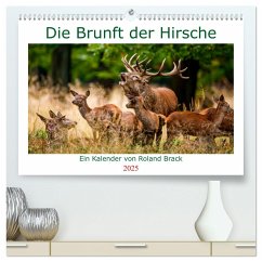 Die Brunft der Hirsche (hochwertiger Premium Wandkalender 2025 DIN A2 quer), Kunstdruck in Hochglanz