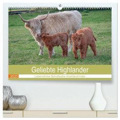 Geliebte Highlander (hochwertiger Premium Wandkalender 2025 DIN A2 quer), Kunstdruck in Hochglanz