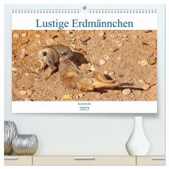 Lustige Erdmännchen (hochwertiger Premium Wandkalender 2025 DIN A2 quer), Kunstdruck in Hochglanz