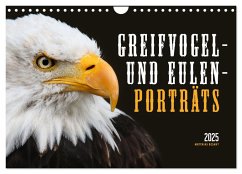 GREIFVOGEL- UND EULENPORTRÄTS (Wandkalender 2025 DIN A4 quer), CALVENDO Monatskalender