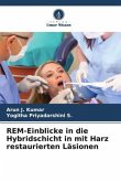REM-Einblicke in die Hybridschicht in mit Harz restaurierten Läsionen