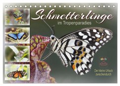 Schmetterlinge im Tropenparadies (Tischkalender 2025 DIN A5 quer), CALVENDO Monatskalender - Calvendo;Löwer, Sabine