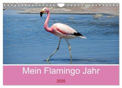 Mein Flamingo Jahr (Wandkalender 2025 DIN A4 quer), CALVENDO Monatskalender - Calvendo;Marlena Büchler, Piera