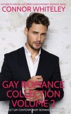 Gay Romance Collection Volume 2