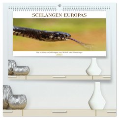 Schlangen Europas (hochwertiger Premium Wandkalender 2025 DIN A2 quer), Kunstdruck in Hochglanz