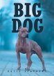 BIG DOG - Bild 1