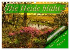 Die Heide blüht (Wandkalender 2025 DIN A3 quer), CALVENDO Monatskalender - Calvendo;Schwerin, Heinz-Peter