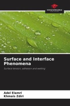 Surface and Interface Phenomena - Elamri, Adel;Zdiri, Khmais