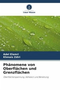 Phänomene von Oberflächen und Grenzflächen - Elamri, Adel;Zdiri, Khmais