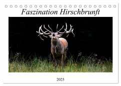Faszination Hirschbrunft (Tischkalender 2025 DIN A5 quer), CALVENDO Monatskalender - Calvendo;Fett, Daniela