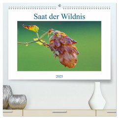 Saat der Wildnis (hochwertiger Premium Wandkalender 2025 DIN A2 quer), Kunstdruck in Hochglanz - Calvendo;Stenner, Clemens