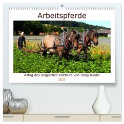 Arbeitspferde - Alltag des belgischen Kaltbluts (hochwertiger Premium Wandkalender 2025 DIN A2 quer), Kunstdruck in Hochglanz