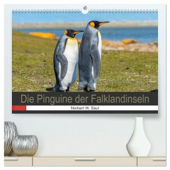 Die Pinguine der Falklandinseln (hochwertiger Premium Wandkalender 2025 DIN A2 quer), Kunstdruck in Hochglanz