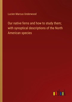 Our native ferns and how to study them; with synoptical descriptions of the North American species - Underwood, Lucien Marcus