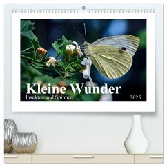 Kleine Wunder - Insekten und Spinnen (hochwertiger Premium Wandkalender 2025 DIN A2 quer), Kunstdruck in Hochglanz