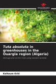 Tuta absoluta in greenhouses in the Ouargla region (Algeria)