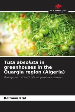 Tuta absoluta in greenhouses in the Ouargla region (Algeria) - Krid, Keltoum