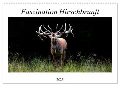 Faszination Hirschbrunft (Wandkalender 2025 DIN A2 quer), CALVENDO Monatskalender - Calvendo;Fett, Daniela