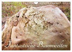 Fantastische Baumwelten (Wandkalender 2025 DIN A4 quer), CALVENDO Monatskalender - Calvendo;Kruse, Gisela