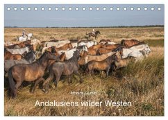 Pferde - Andalusiens wilder Westen (Tischkalender 2025 DIN A5 quer), CALVENDO Monatskalender