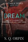 Dream Dream