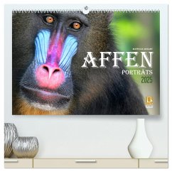 AFFENPORTRÄTS (hochwertiger Premium Wandkalender 2025 DIN A2 quer), Kunstdruck in Hochglanz