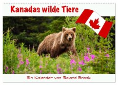 Kanadas Wilde Tiere (Wandkalender 2025 DIN A2 quer), CALVENDO Monatskalender - Calvendo;Brack, Roland
