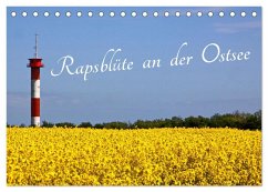 Rapsblüte an der Ostsee (Tischkalender 2025 DIN A5 quer), CALVENDO Monatskalender