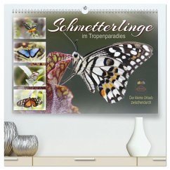 Schmetterlinge im Tropenparadies (hochwertiger Premium Wandkalender 2025 DIN A2 quer), Kunstdruck in Hochglanz