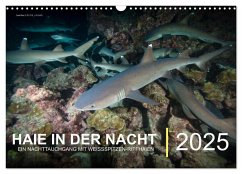 Haie in der Nacht (Wandkalender 2025 DIN A3 quer), CALVENDO Monatskalender