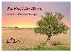 Die Kraft der Bäume (Wandkalender 2025 DIN A2 quer), CALVENDO Monatskalender