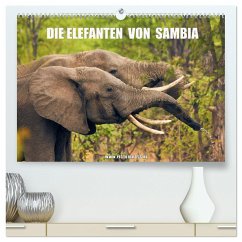 Die Elefanten von Sambia (hochwertiger Premium Wandkalender 2025 DIN A2 quer), Kunstdruck in Hochglanz - Calvendo;Esch, Jens
