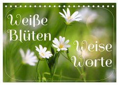 Weiße Blüten, weise Worte (Tischkalender 2025 DIN A5 quer), CALVENDO Monatskalender - Calvendo;Löwer, Sabine