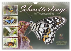Schmetterlinge im Tropenparadies (Wandkalender 2025 DIN A4 quer), CALVENDO Monatskalender
