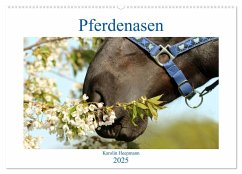 Pferdenasen (Wandkalender 2025 DIN A2 quer), CALVENDO Monatskalender