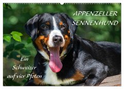 Appenzeller Sennenhund - Ein Schweizer auf 4 Pfoten (Wandkalender 2025 DIN A2 quer), CALVENDO Monatskalender - Calvendo;Starick, Sigrid