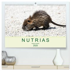 NUTRIAS - Pelzige Gesellen (hochwertiger Premium Wandkalender 2025 DIN A2 quer), Kunstdruck in Hochglanz