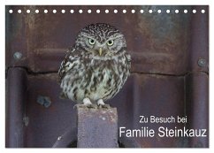 Zu Besuch bei Familie Steinkauz (Tischkalender 2025 DIN A5 quer), CALVENDO Monatskalender - Calvendo;Wenner, Martin