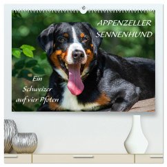 Appenzeller Sennenhund - Ein Schweizer auf 4 Pfoten (hochwertiger Premium Wandkalender 2025 DIN A2 quer), Kunstdruck in Hochglanz - Calvendo;Starick, Sigrid