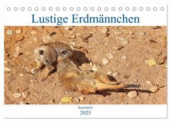 Lustige Erdmännchen (Tischkalender 2025 DIN A5 quer), CALVENDO Monatskalender - Calvendo;Kattobello