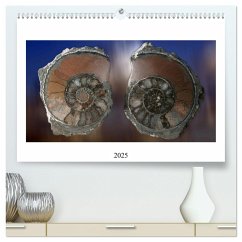 Versteinerte Welt (hochwertiger Premium Wandkalender 2025 DIN A2 quer), Kunstdruck in Hochglanz - Calvendo;Schellhorn, Steffen