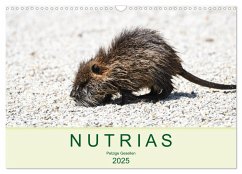 NUTRIAS - Pelzige Gesellen (Wandkalender 2025 DIN A3 quer), CALVENDO Monatskalender