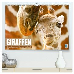 Giraffen: die afrikanischen Tiere mit Weitblick (hochwertiger Premium Wandkalender 2025 DIN A2 quer), Kunstdruck in Hochglanz - Calvendo