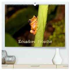 Ecuadors Frösche (hochwertiger Premium Wandkalender 2025 DIN A2 quer), Kunstdruck in Hochglanz - Calvendo;Schulz, Eerika