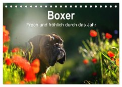 Boxer Frech und fröhlich durch das Jahr (Tischkalender 2025 DIN A5 quer), CALVENDO Monatskalender