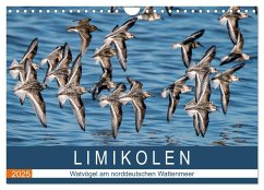Limikolen - Watvögel am norddeutschen Wattenmeer (Wandkalender 2025 DIN A4 quer), CALVENDO Monatskalender - Calvendo;Wünsche, Arne