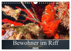 Bewohner im Riff (Wandkalender 2025 DIN A4 quer), CALVENDO Monatskalender