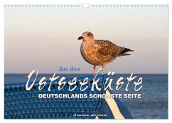 An der Ostseeküste - Deutschlands schönste Seite (Wandkalender 2025 DIN A3 quer), CALVENDO Monatskalender