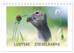 Lustige Zieselbabys (Tischkalender 2025 DIN A5 quer), CALVENDO Monatskalender